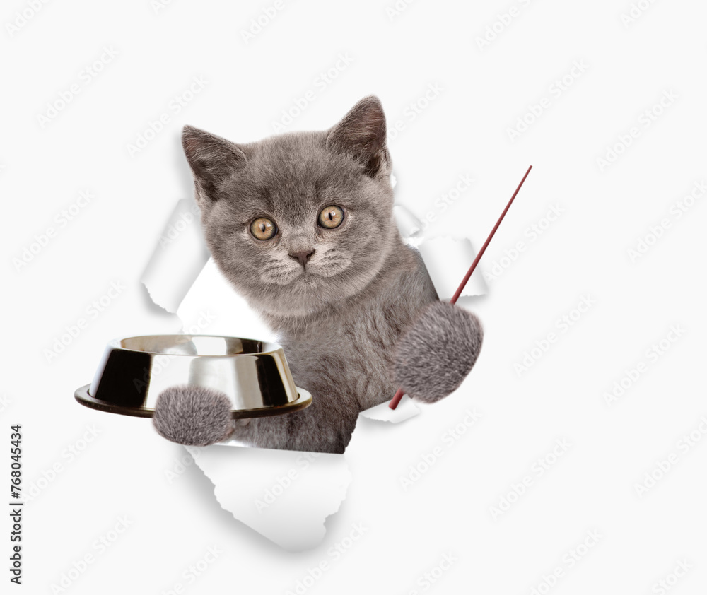 Poster Kitten looks through a hole in white paper, holds empty bowl and points away on empty space. isolated on white background