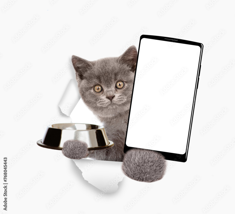Poster kitten looks through a hole in white paper, holds empty bowl and shows smartphone with white blank s