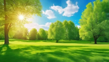 Gardinen Beautiful bright colorful summer spring landscape with trees in Park, juicy fresh green grass on lawn and sunlight against blue sky with clouds. Wide format. © Alamin