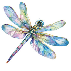 Obraz na płótnie Canvas Dragonfly Watercolor Clipart clipart isolated on white ba ckground 