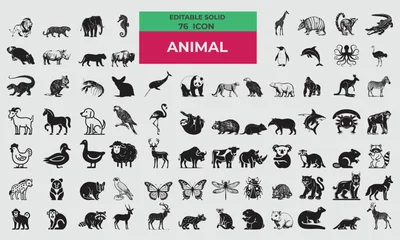 Foto op Aluminium 76 Solid Icons for Animal  set in fill style. Excellent icons collection. Vector illustration.  © Arif