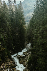Wild river waterfall in mountain forest. High quality photo