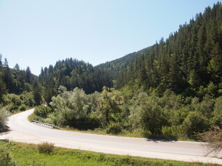 Rhodope narrow gauge train (Rhodope Mountains, Bulgaria)