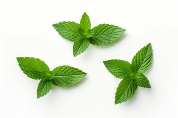 three mint leaves in four frames