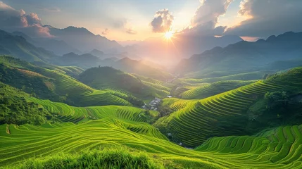 Poster Breathtaking Sunrise Illuminating the Green Terraced Rice Fields. © Sandris
