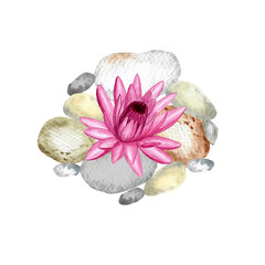 Fototapeta na wymiar Composition of water lilies on pebbles. Watercolor illustration for logo, spa, yoga, for your design