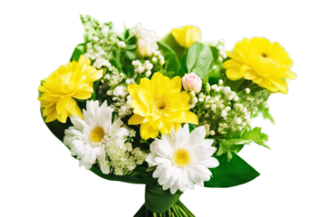 China urban Shenzhen traffic cityscape Background City Road Building Architecture Street Speed Modern Financial Beautiful Bridge Futuristic Skyline Vehicle Transportation