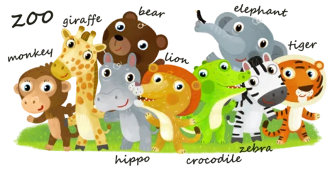 Poster Im Rahmen Cartoon zoo scene with zoo animals friends together in amusement park on white background with space for text illustration for children © honeyflavour