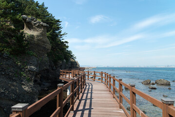 Obraz premium View of the seaside with the wooden footbridge
