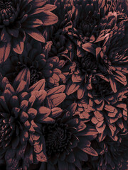 High Glitch halftone effect Warm Flower Texture Graphic