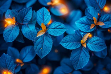 Fotobehang 夜中に輝く不思議な色合いの植物 © Aoba Photo