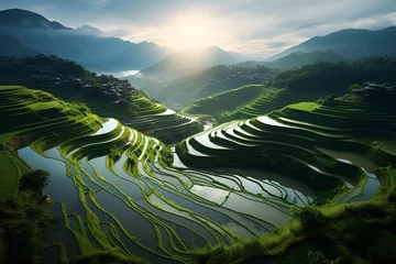 Foto auf Alu-Dibond a rice terraces with water in the middle © Serghei11