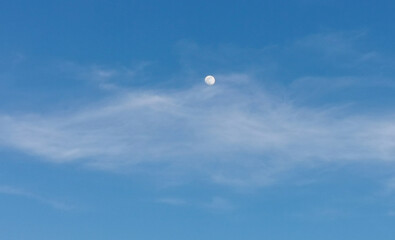 La Luna di giorno nel cielo azzurro dietro al velo di una nuvola - obrazy, fototapety, plakaty