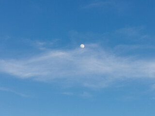 La Luna di giorno nel cielo azzurro dietro al velo di una nuvola - obrazy, fototapety, plakaty