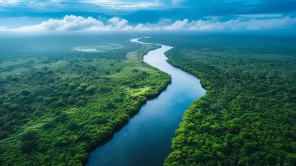 An expansive aerial shot captures a winding river snaking through the dense greenery of a tropical rainforest under a cloudy sky.