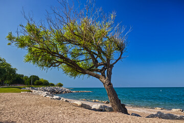 Gorgeous day at the beach int he morning - Goderich, ON, Canada