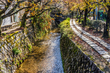 Colorful Orange Berries Fall Philosopher's Walk Canal Kyoto Japan - 768068672