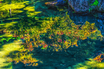 Fall Leaves Garden Reflection Ginkakuji Silver Pavilion Temple Kyoto Japan