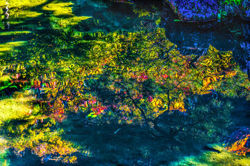 Fototapeta na wymiar Fall Leaves Garden Reflection Ginkakuji Silver Pavilion Temple Kyoto Japan