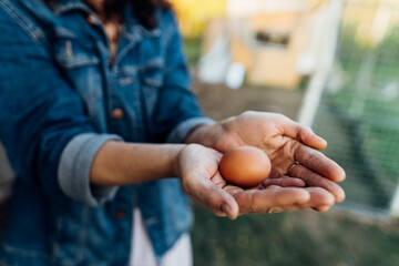 Fresh chicken egg in the female hands of a farmer, rural life, organic farming. Morning routine on the farm, a woman collects eggs from a chicken coop on her private farm