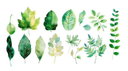 set of watercolor green leaves isolated - Powered by Adobe