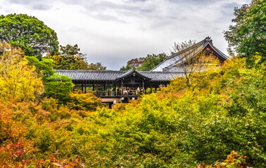 Colorful Platform Raining Fall Leaves Tofuku-Ji Buddhist Temple Kyoto Japan