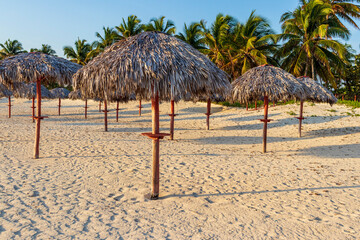 Close up shot of beach umbrellas made of palm trees. Holiday