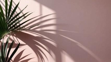 close up of a palm tree