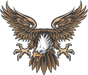 eagle with flag