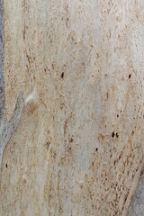 wood background, wood texture