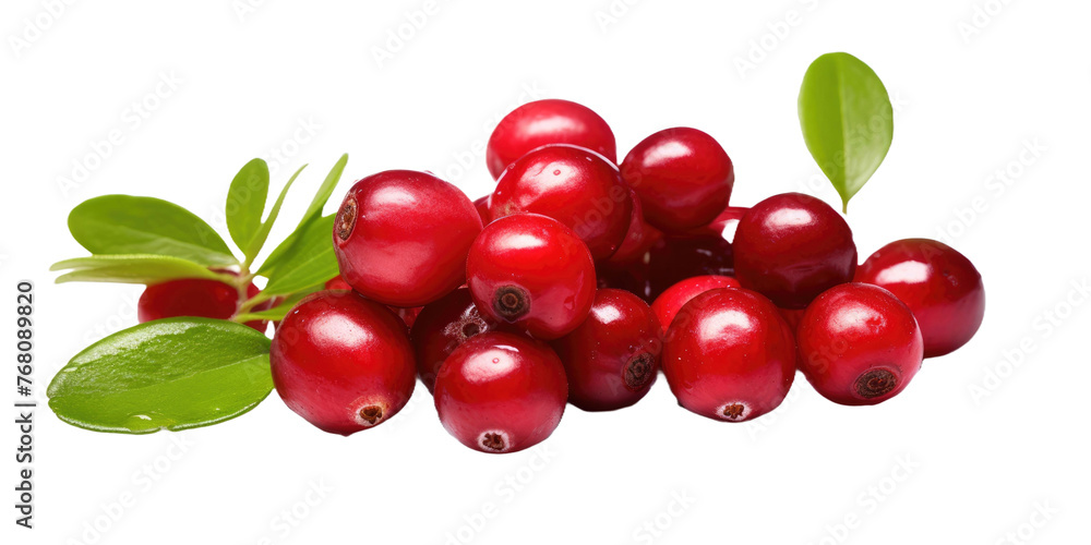 Wall mural cranberries with leaves on white isolated background