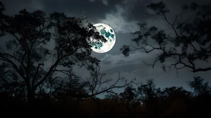Zelfklevend Fotobehang Volle maan en bomen full moon in a forest
