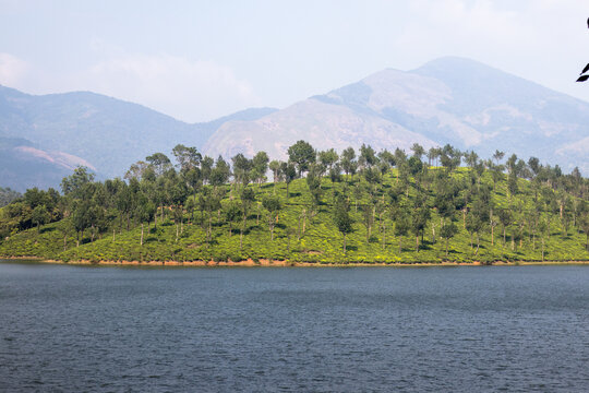 Blue lake and Green tea estate