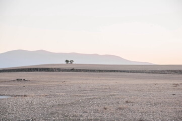 landscape with trees castle of Segovia Spain	