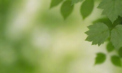 Obraz premium Fresh and green leaves green bokeh on blurred green background 