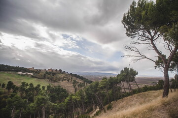 Fototapeta premium clouds over the forest in Lucera in Apulia, southern Italy
