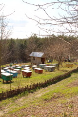 A group of small buildings in a grassy area with trees around