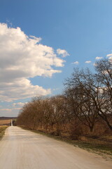 A road with trees on the side