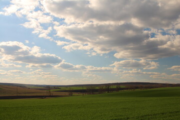 Fototapeta na wymiar A field with a fence and blue sky with clouds