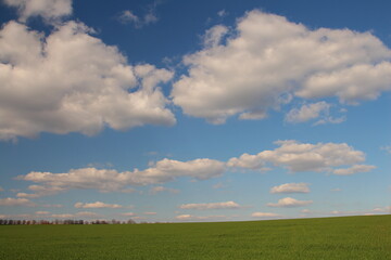 Fototapeta premium A large green field with clouds