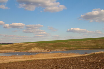 A river running through a field