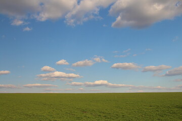 A grassy field with blue sky and clouds