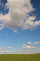Fototapeta na wymiar A field with blue sky and clouds