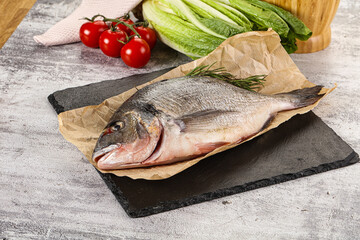 Raw dorada fish served rosemary