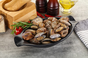 Raw vongole clams for cooking