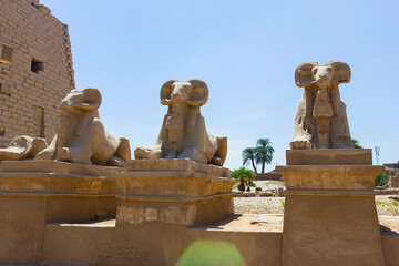 Ancient ruins of Karnak temple in Egypt - 768112861