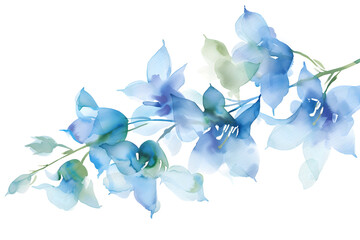 Soft Blue Orchids Watercolor, Tranquil Floral Elegance - Isolated on Transparent White Background PNG

