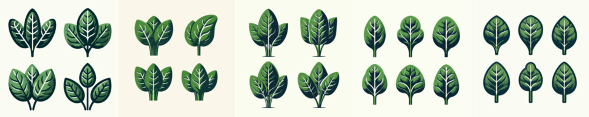 vector set of spinach with flat design style - obrazy, fototapety, plakaty