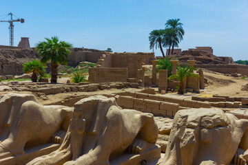 Ancient ruins of Karnak temple in Egypt - 768114645