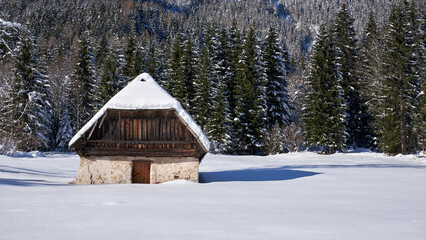 Fototapeta na wymiar wooden house in the forest covered with snow